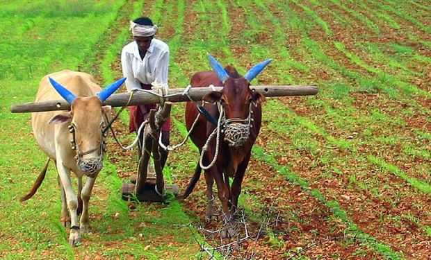 “É necessária uma extensa ação em investimento agrícola e em inovação para colocar o setor agrícola na trajetória do crescimento da produtividade e da transformação para sistemas alimentares sustentáveis", diz o documento. (foto - ilustrativa)