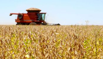 Agro dispara 11,7% e puxa PIB do Brasil em 2025