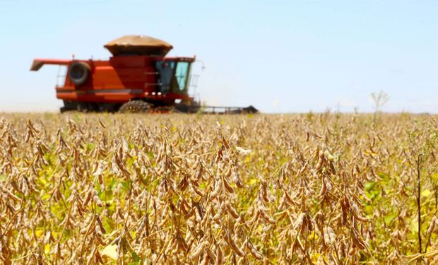 Agro dispara 11,7% e puxa PIB do Brasil em 2025