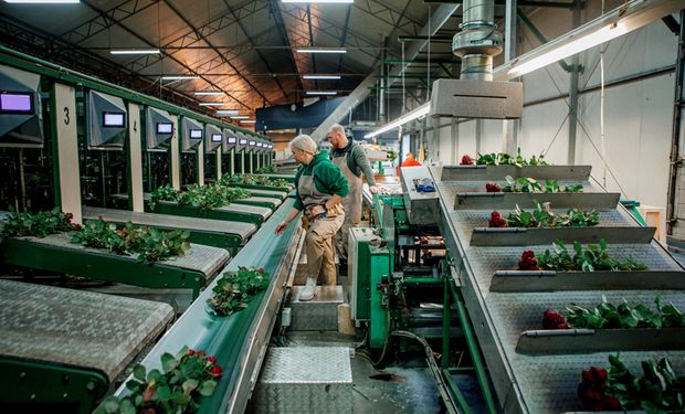 Brasil firma parceria com Israel para mais inovação no agro