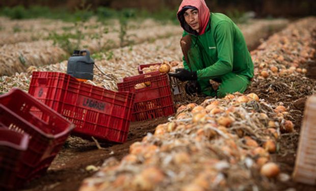 Número de trabalhadores no segmento de serviços do agro somou 6,34 milhões no 3º trimestre, um recorde. (foto - Sistema CNA/Senar)