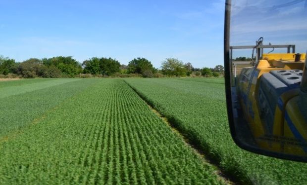 Oportunidades y desafíos para el agro de cara al 2018.