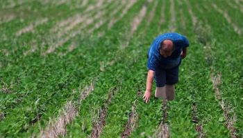 Cómo afrontar la coyuntura de las empresas agropecuarias aplicando neurociencias