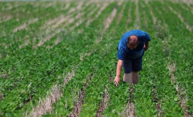 Recomiendan poner foco en la estructura de la empresa agropecuaria para afrontar la coyuntura de otra manera.