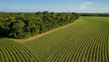 CNA prepara posicionamento do agro para a COP30
