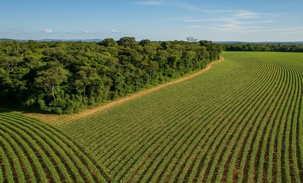 CNA prepara posicionamento do agro para a COP30