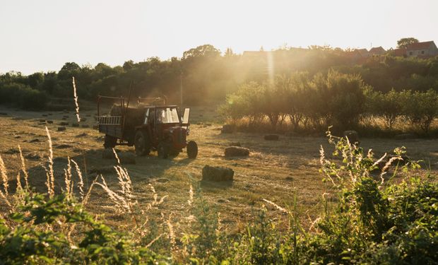 El agro aporta cerca del 20% de la economía argentina y lidera el ingreso de dólares