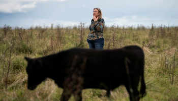 El agro uruguayo alerta que con un dólar abajo de $40 los números no dan: "La tormenta perfecta es ahora"