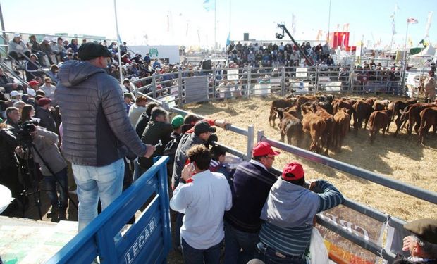 Las distintas submuestras que componen la exposición prometen seguir despertando el interés del público.