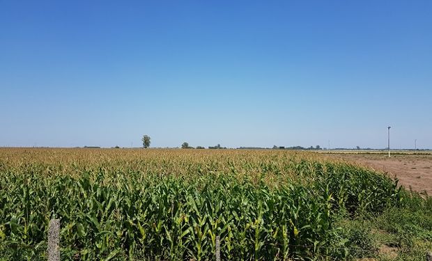 Entre el 6 y el 9 de junio de 2018 el campo argentino vivirá nuevamente la experiencia de AgroActiva la exposición a campo abierto más grande de América.