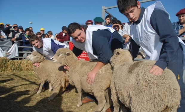 Los estudiantes esperan las Terceras Ovinpíadas de AgroActiva