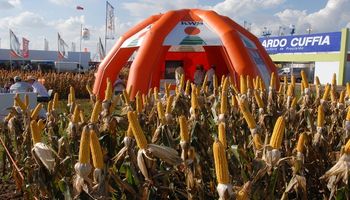 KWS nuevamente en el corazón de AgroActiva