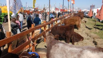AgroActiva Ganadera más fuerte que nunca