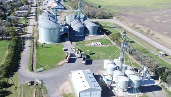 Inteligência artificial aplicada ao agronegócio: Agrobit apresentou o "Biti" para otimizar a tomada de decisões