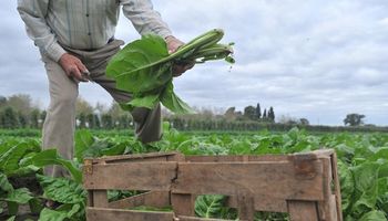Pide pista en Santa Fe una práctica agrícola que propone "volver a las fuentes"