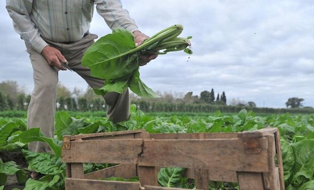 Agroecología, una alternativa sustentable.