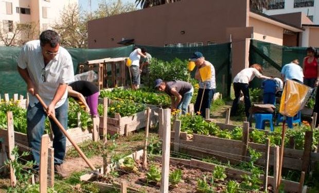 La agroecología como una fuente de alimentos sanos.