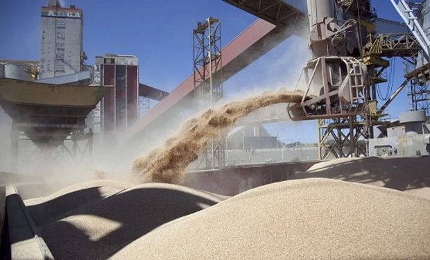 Dólares del agro: comenzaron las operaciones de adelanto y esperan llegar a US$ 1000 millones