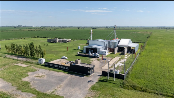 agrofeed planta