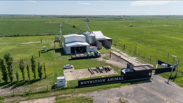 agrofeed 19 alimentos