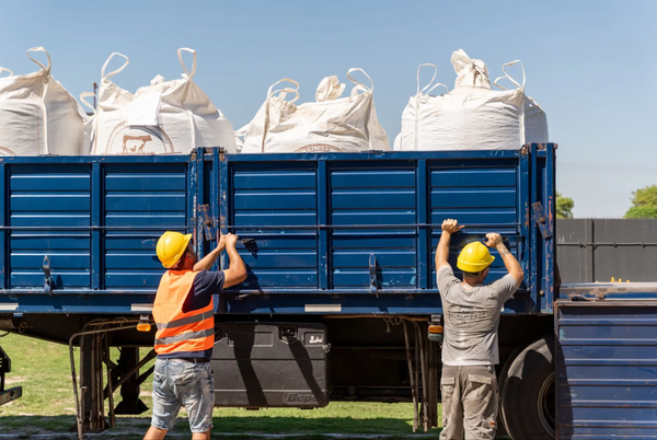 agrofeed19 