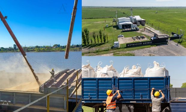 Los médicos que apuestan al agro: tuvieron una idea y ya exportan más de 10.000 toneladas con un enfoque que combina salud y producción