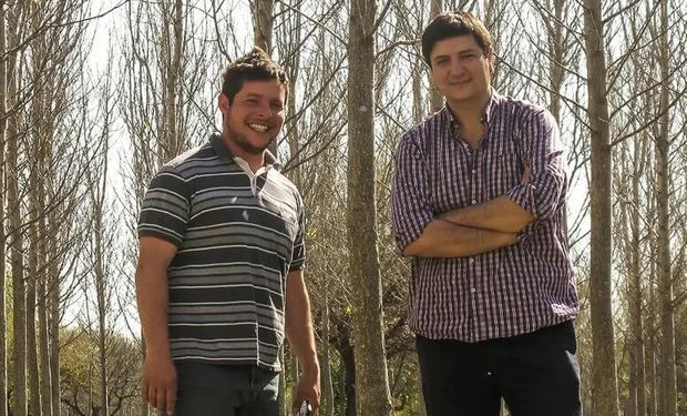 Agroforestación, a fondo: cuánto cuesta plantar, qué ventajas trae a productores y al ambiente y cuánto se tarda en ver un retorno