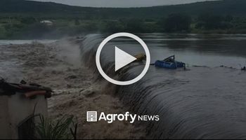 Inundaciones en Bahía, Brasil: al menos 18 muertos y colapso de una represa