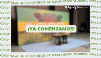 Agrofy News Live: cata de cervezas en vivo, qué está pasando en el mercado internacional y el mate político