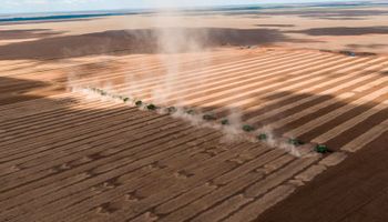 Récord histórico: Brasil exportó más de 16 millones de toneladas de soja en un mes