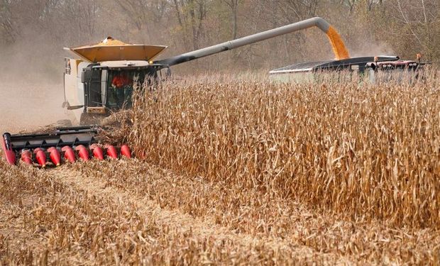 Récord: Estados Unidos va por más de 400 millones de toneladas de maíz con precios en mínimos de 10 años