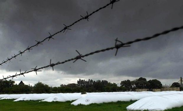 Tres frentes abiertos que encienden las alarmas en el sector agropecuario