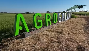 Agrogalaxy tenta cartada para abater 44,6% da dívida líquida