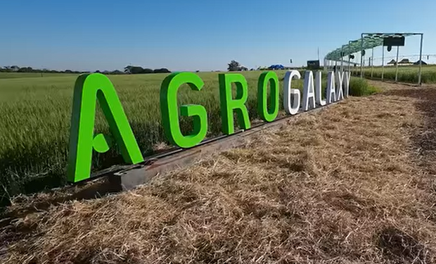 Agrogalaxy tenta cartada para abater 44,6% da dívida líquida