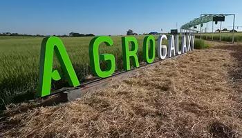 AgroGalaxy homologa RJ na Justiça, respira, mas segue com risco de falência 