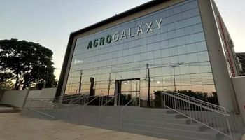 Agrogalaxy corta “na própria carne” metade das unidades e 550 funcionários