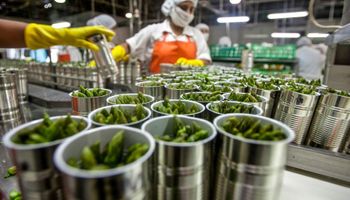 Nuevo mecanismo para abrir mercados: cómo es el procedimiento online para exportar