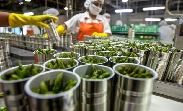 Nuevo mecanismo para abrir mercados: cómo es el procedimiento online para exportar