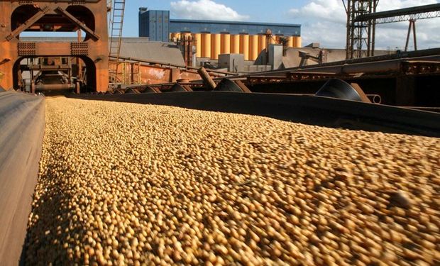 Agroindústria puxa nova revisão positiva do PIB da cadeia da soja e do biodiesel