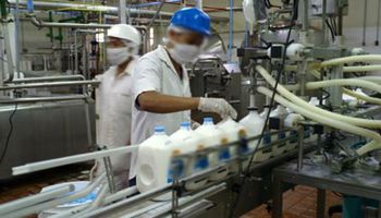 Agroindustria impidió la comercialización de 96 mil kilos de lácteos