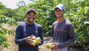 Agroindústria transforma fruta em polpa e, também, a vida de pequenos produtores