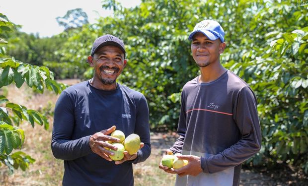 Agroindústria transforma fruta em polpa e, também, a vida de pequenos produtores