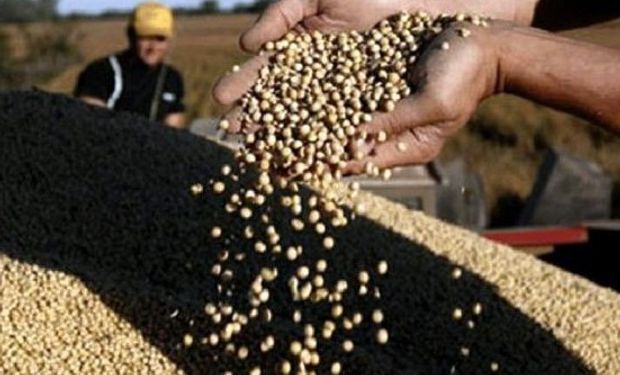 Cargando la producción de granos en camiones y colocándolos uno detrás de otro, se recorre 51 veces Pergamino – Bahía Blanca.