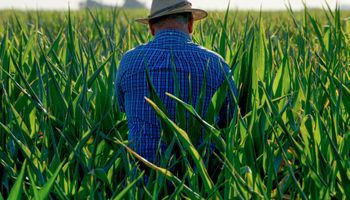 Agroindustria creó el Observatorio de Productividad y Empleo Agroindustrial