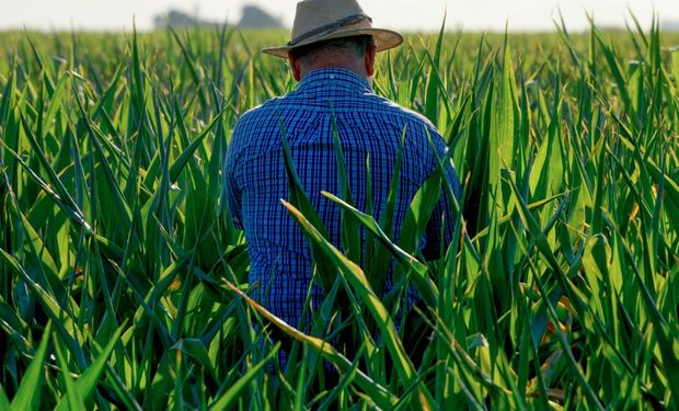 Objetivo: recopilar, analizar y difundir información sobre la productividad y el empleo agroindustrial.