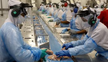 Agroindústria cresce 0,8% em outubro e zera perdas no acumulado de 2025