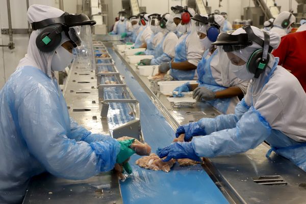 Agroindústria cresce 0,8% e zera perdas em 2025
