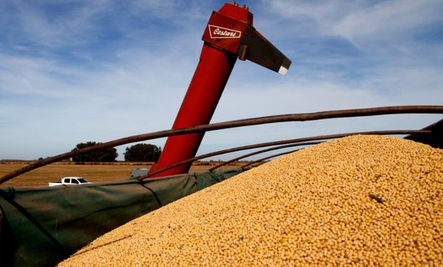 Agroindustria informó el precio promedio para el pago a los productores de soja del Plan Belgrano correspondiente al mes de Agosto.