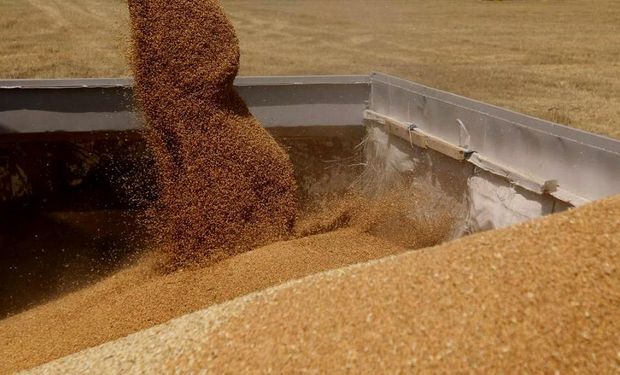La agroindustria de soja rompió nuevo récord