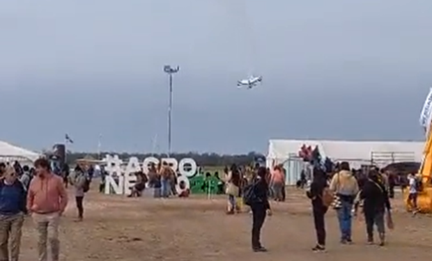 Cayó un avión en Agronea: qué dijo la organización sobre el accidente fatal